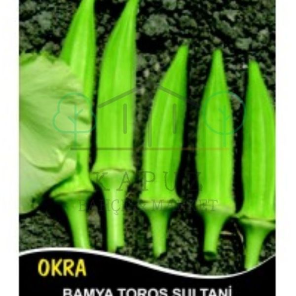 Toros Sultani bamya tohumu paket görünümü