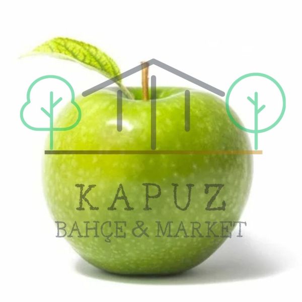 Granny Smith elma fidanı bahçede dikili